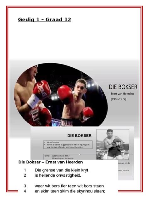 Bokser die pads raakt