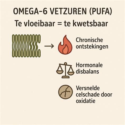 Grafiek die de verhouding tussen Omega-3 en Omega-6 vetzuren toont