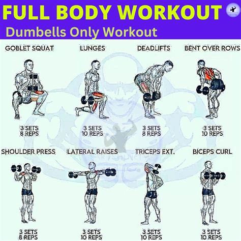 Schema full body workout met dumbbells