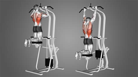 Assisted pull-up machine en weerstandsbanden