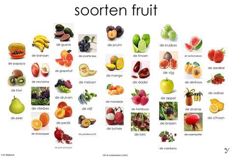 Verschillende soorten fruit en groenten rijk aan vitaminen en mineralen