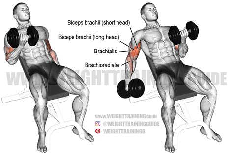 Man die incline dumbbell curl uitvoert op schuine bank