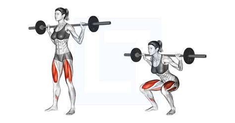 Infographic met tips voor een correcte barbell squat