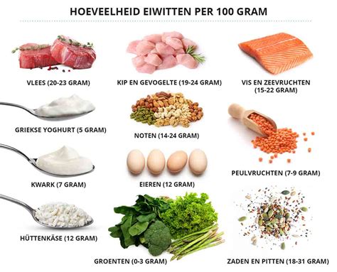 Schema van spieropbouw met eiwitten