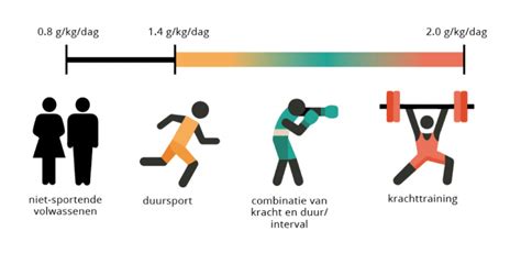 Vergelijking van vetverlies en spierbehoud bij verschillende eiwitinname