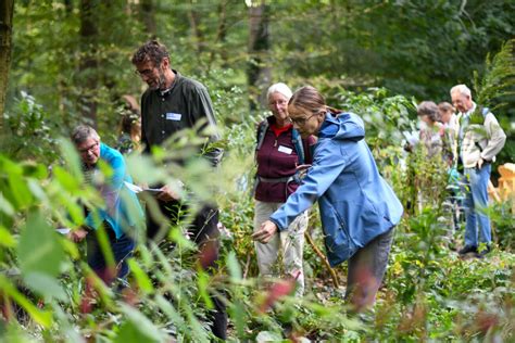 Jongeren die een bootcamp volgen in een bosrijke omgeving