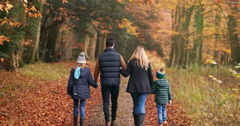 Een gezin dat samen een bootcamp-oefening doet in het bos