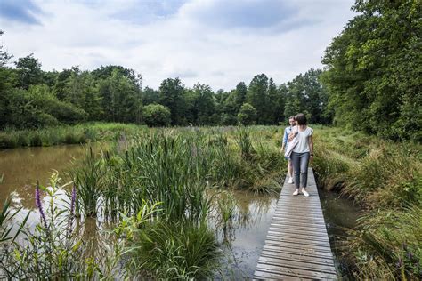 Groep mensen die lachend op Lopifits rijden door een natuurgebied