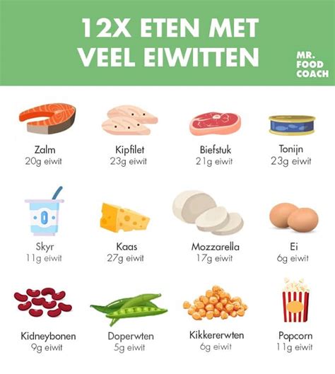 Infographic met eiwitrijke voedingsmiddelen