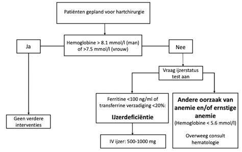 Diagram dat de opname van ijzer met en zonder vitamine C illustreert