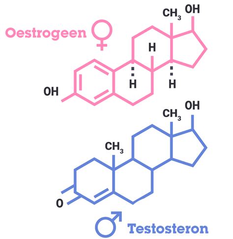 Testosteron en olijfolie