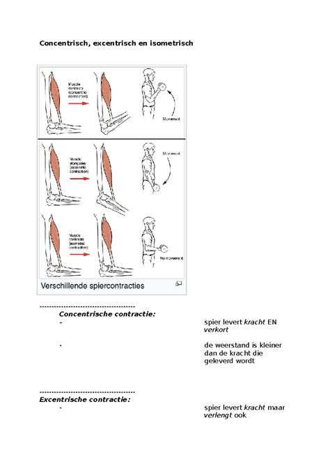 Schema met de fasen van een krachttraining herhaling (concentrisch, excentrisch, pauze)