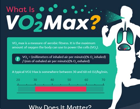 Infographic over VO2 Max meting