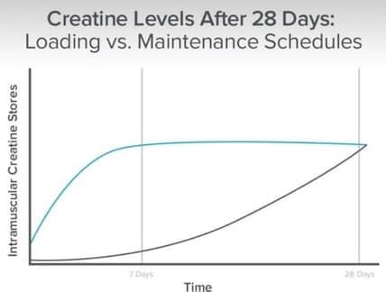 Grafiek die de aanbevolen dagelijkse dosering creatine weergeeft