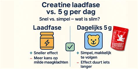 Schema van de creatine laadfase en onderhoudsfase