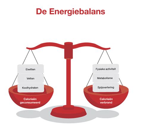 Grafiek die de energiebalans weergeeft