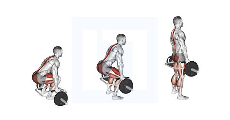 Verschil tussen trap bar en conventionele deadlift