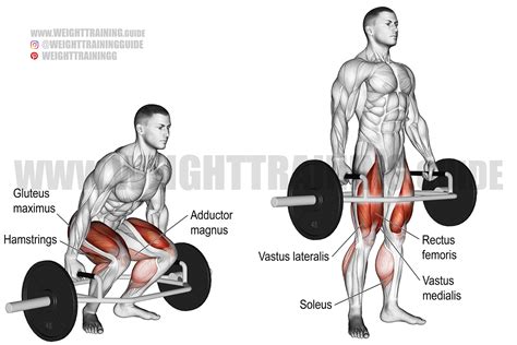 Opstelling voor trap bar deadlift