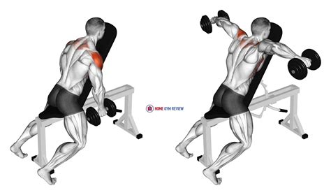Chest supported lateral raises oefening