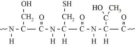 Structuurformule van L-ornithine