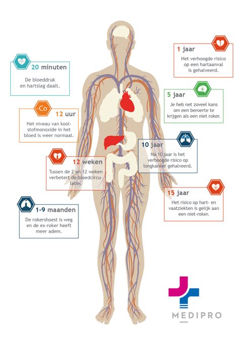 Schema dat de effecten van roken op het cardiovasculaire systeem toont