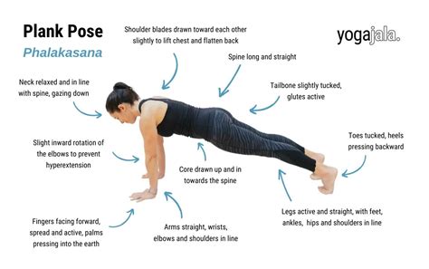 Plank pose yoga