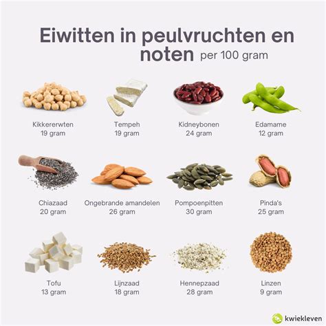 Vergelijking van verschillende soorten eiwitbronnen (wei, plantaardig)