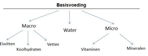Schema van macronutriënten en micronutriënten in een eiwitshake