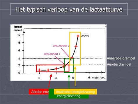 Schema dat de relatie tussen inspanning, melkzuurproductie en de anaerobe drempel illustreert