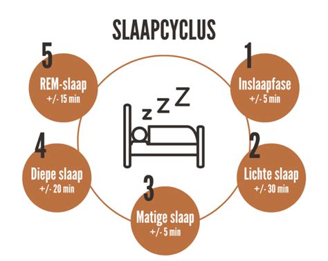 Illustratie die de slaapcyclus en de rol van magnesium toont.