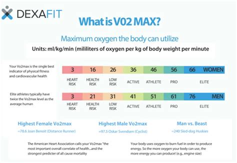 Diagram dat de relatie tussen VO2 max en risicofactoren voor vroegtijdige sterfte weergeeft