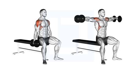 Dumbbell Side Raise