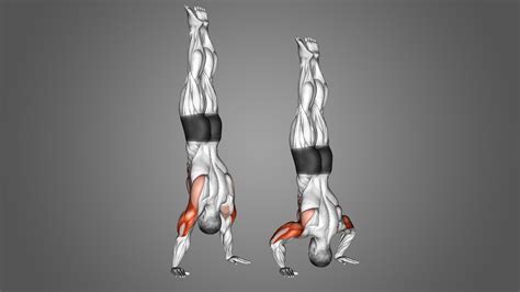 Handstand Push-up