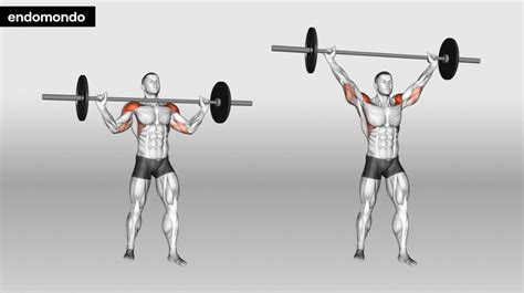 Overhead Barbell Press