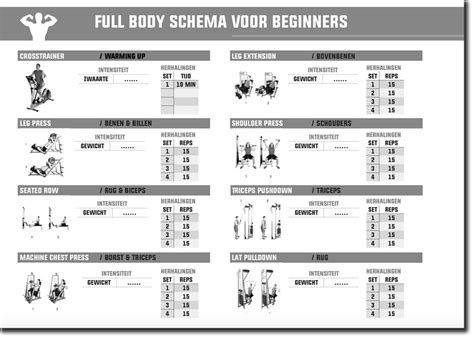 Schema voor spiergroepen training