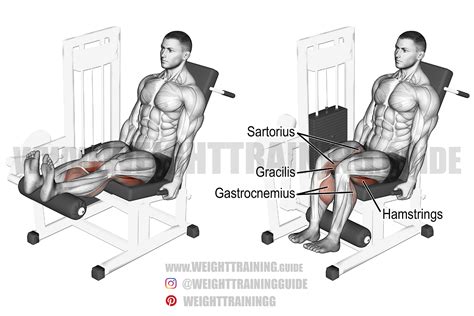 Uitvoering van de seated leg curl
