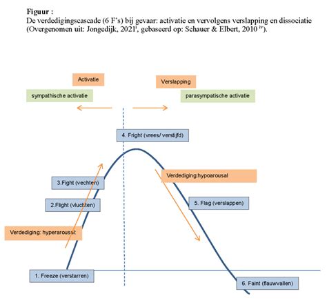 Grafische weergave van de voordelen van hamstringtraining