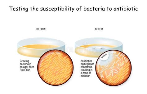 Illustratie van bacteriën en antibiotica