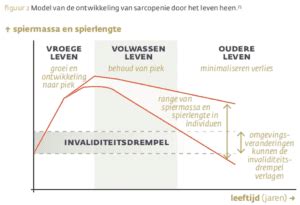 Grafiek die de toename van spiermassa en afname van vetpercentage toont