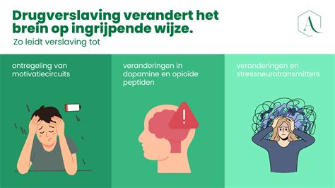 Diagram dat de effecten van MDMA op de hersenen weergeeft