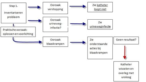 Schema van een blaastraining