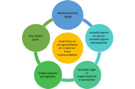 Infographic die de verschillende factoren toont die de caloriebehoefte beïnvloeden