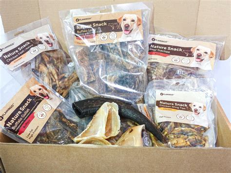 Gezonde snacks voor honden