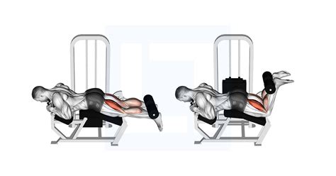 Liggende leg curl machine