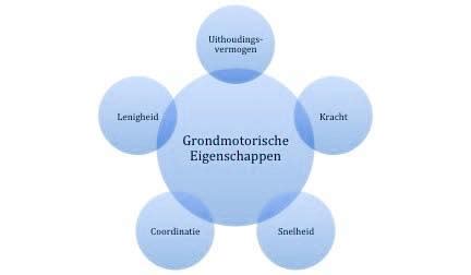 Schema met de vijf grondmotorische eigenschappen, waarbij uithoudingsvermogen wordt benadrukt