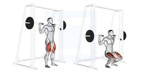 Spiergroepen betrokken bij de Smith Machine Squat