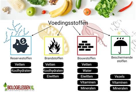 Infographic over haarverzorging en voedingsstoffen