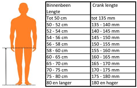 Infographic met maattabel voor springtouwen op basis van lengte en vaardigheidsniveau