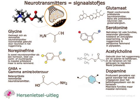 Hersenen en neurotransmitters