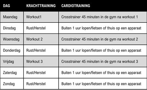 Schema van spieropbouw en conditieverbetering door krachttraining en cardio